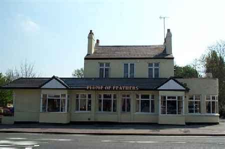 The Plume Of Feathers